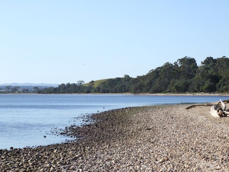 Tambo Bluff Estate, Metung VIC 3904