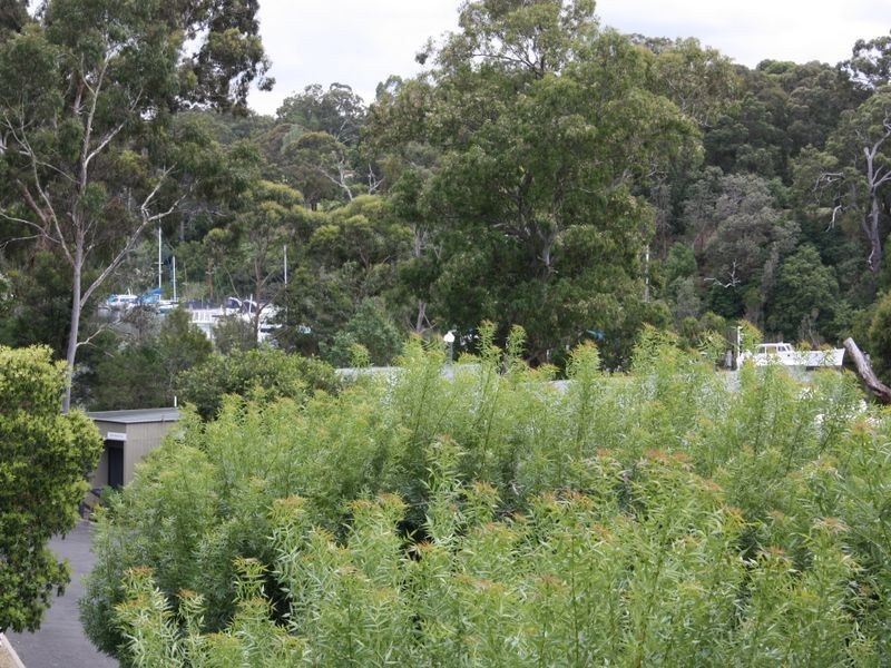 Myrtle/2 Nicholas Avenue, Metung VIC 3904