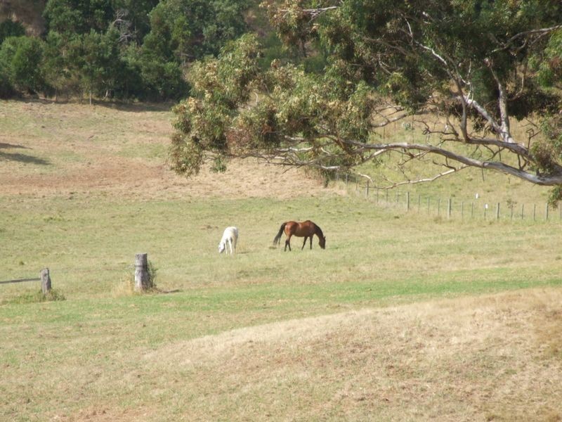 32 Kingscote Drive, Metung VIC 3904