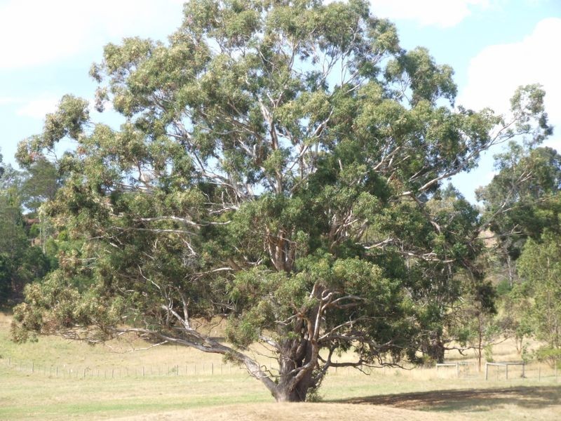 32 Kingscote Drive, Metung VIC 3904