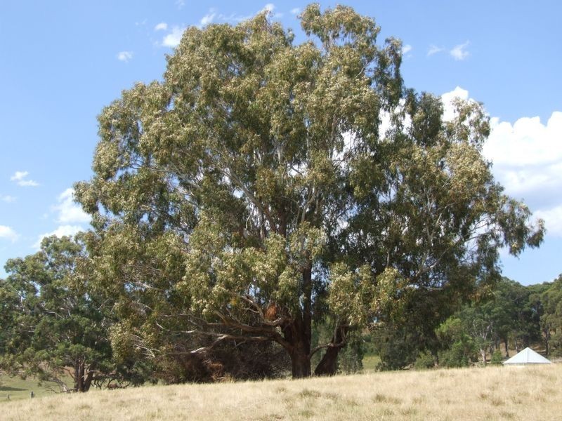 32 Kingscote Drive, Metung VIC 3904