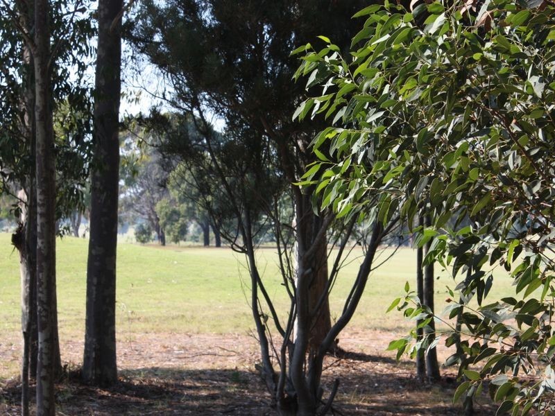 13 Broadlands Road, Metung VIC 3904