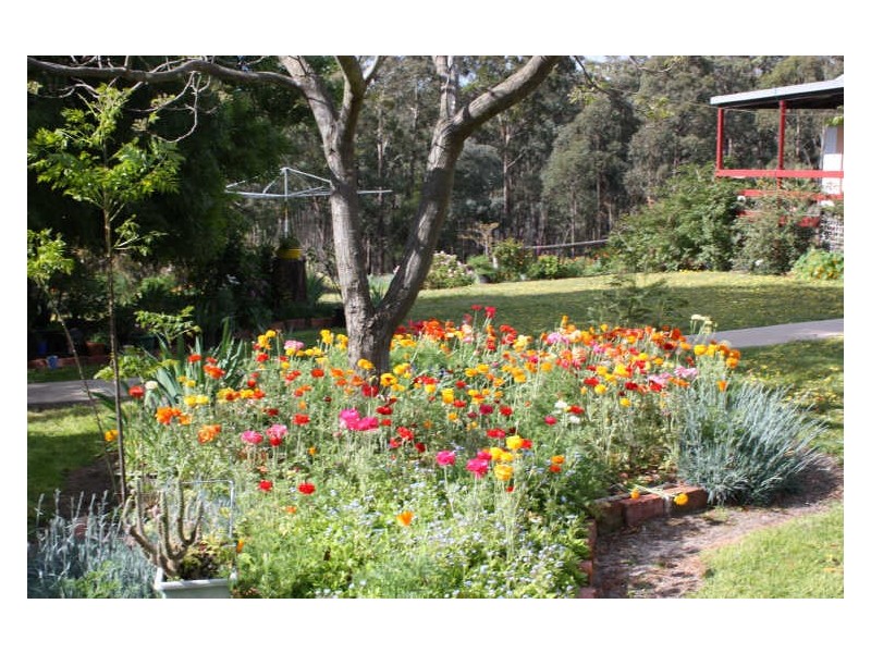 Swan Reach VIC 3903
