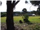 26 the Terrace, Metung VIC 3904