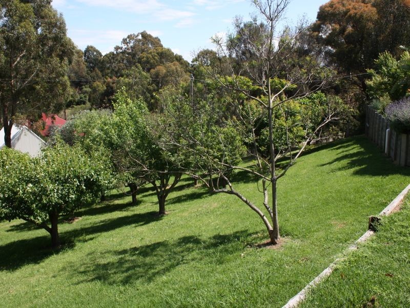 15 Nicholas Avenue, Metung VIC 3904