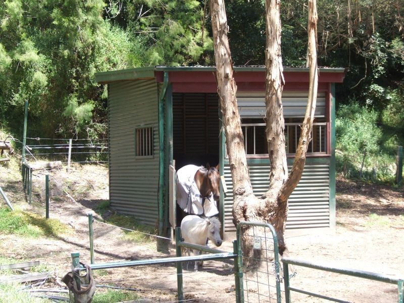 113 CANTRILLS ROAD, Metung VIC 3904