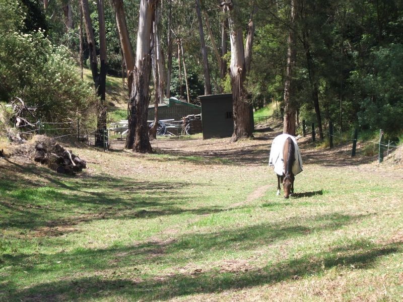 113 CANTRILLS ROAD, Metung VIC 3904