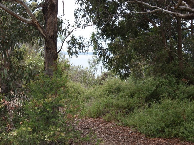 9 a & b an Grevillia Ave & Foreshore Rd, Metung VIC 3904