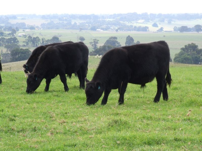 75 Rosherville Road, Swan Reach VIC 3903