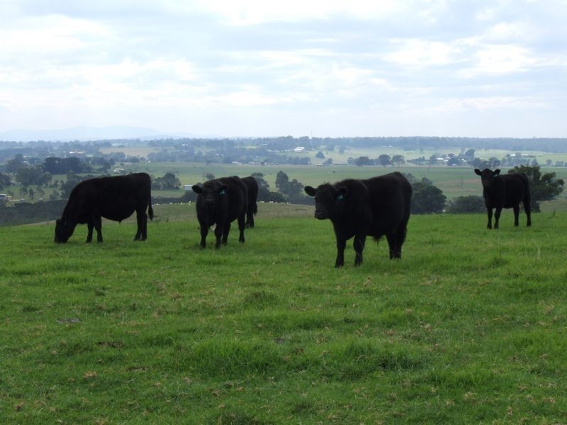 75 Rosherville Road, Metung VIC 3904