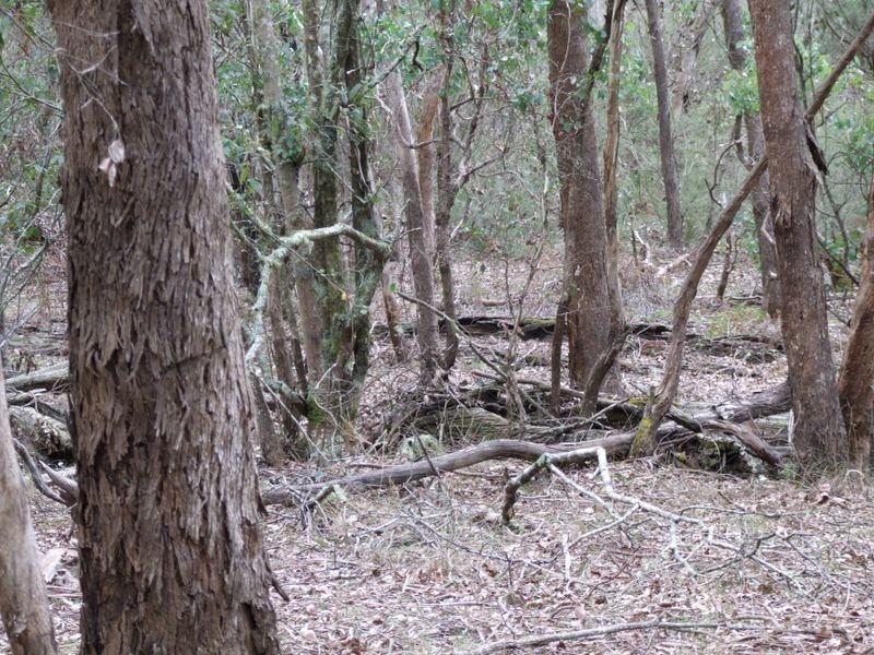 75 Rosherville Road, Metung VIC 3904