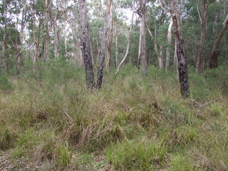 75 Rosherville Road, Metung VIC 3904