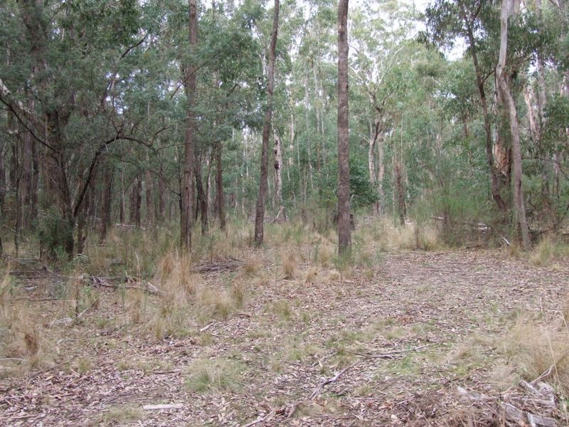 75 Rosherville Road, Metung VIC 3904