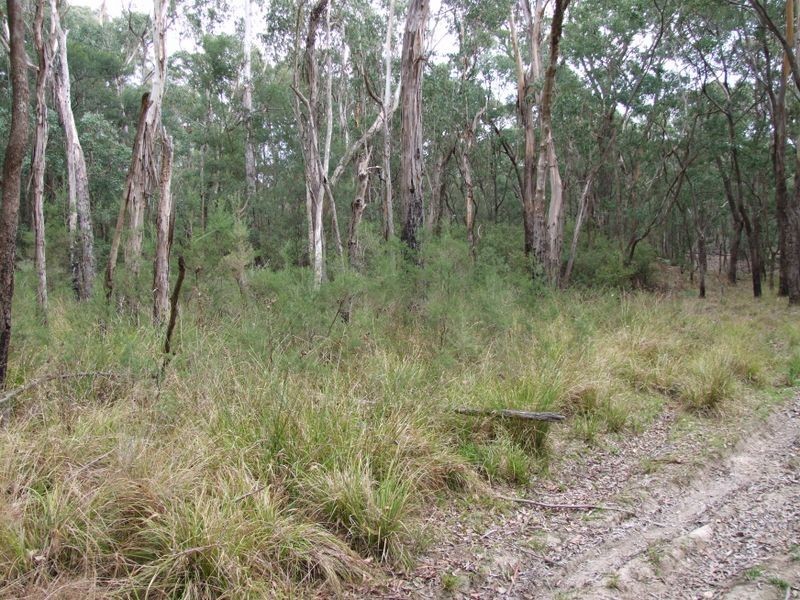 75 Rosherville Road, Metung VIC 3904