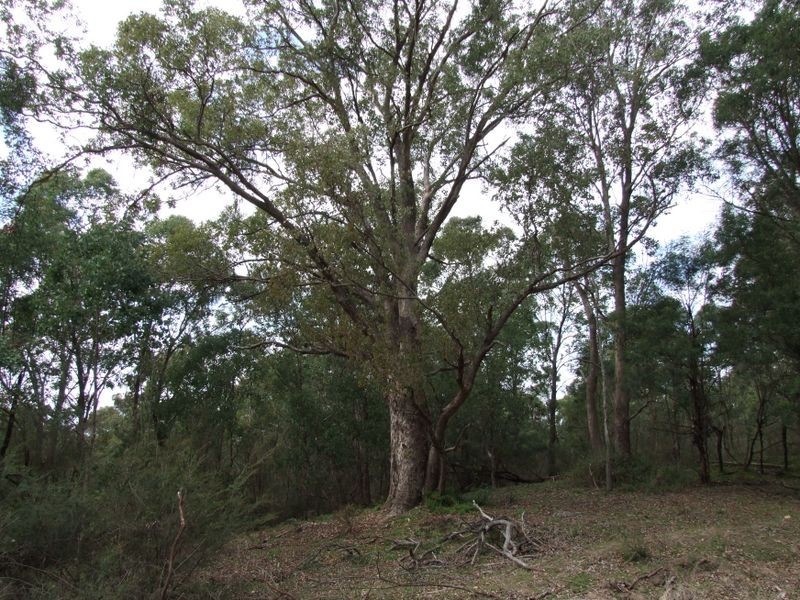 75 Rosherville Road, Metung VIC 3904