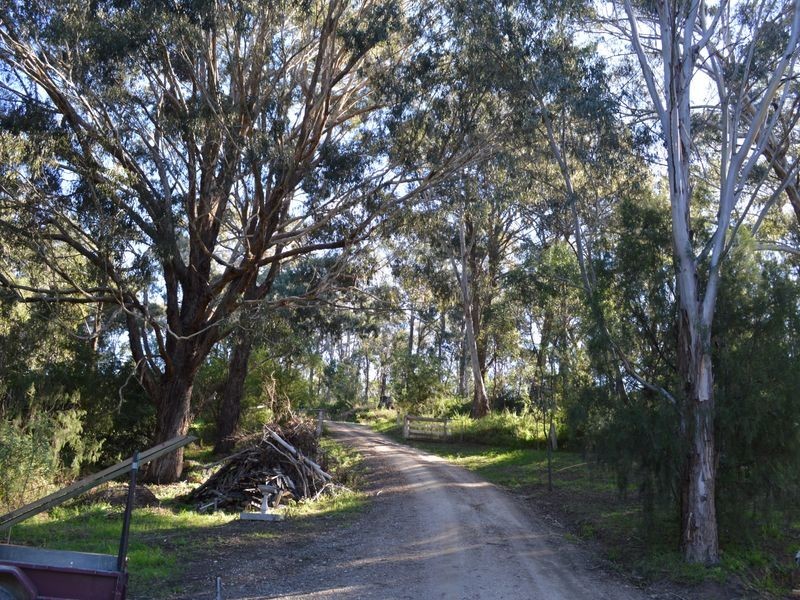 126 Stirling Road, Metung VIC 3904