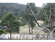 Lot 2/979 West Cann Road, Cann River VIC 3890