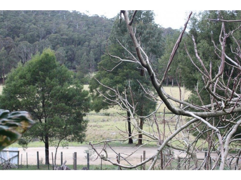 Lot 2/979 West Cann Road, Cann River VIC 3890