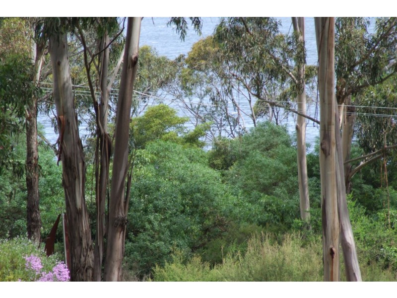 140 Kleinitz Road, Nungurner VIC 3909