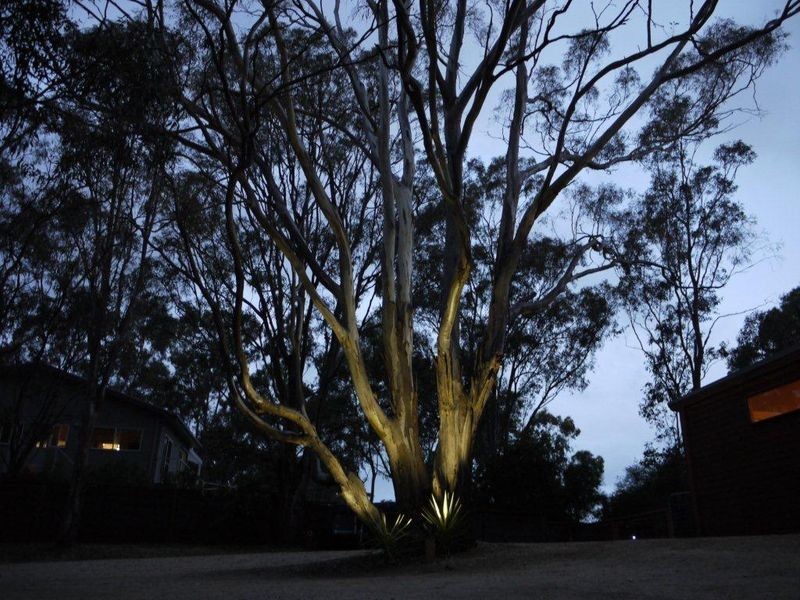 4 Lawrence Court, Metung VIC 3904