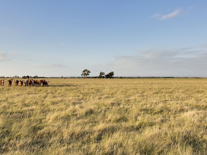 125 Monomeith Road, Monomeith VIC 3984