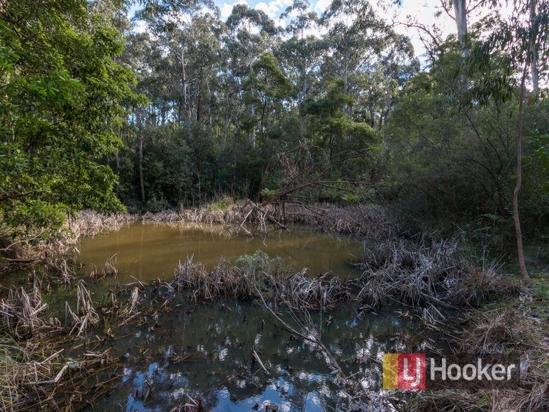 55 Carne Road, Pakenham Upper VIC 3810