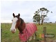 185 Harkers Road, Caldermeade VIC 3984