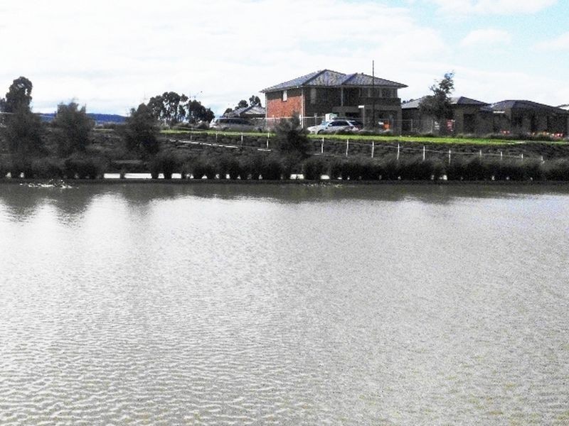 Lot 44 Cyan Crescent, Officer VIC 3809