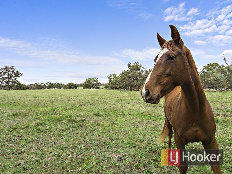 25 Forbes Road, Maryknoll VIC 3812
