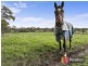 25 Forbes Road, Maryknoll VIC 3812