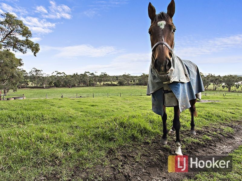 25 Forbes Road, Maryknoll VIC 3812