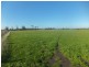 Lot 1/PT 580 KooWeeRup Road, Pakenham VIC 3810