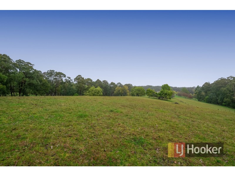1080 Bessie Creek Road, Gembrook VIC 3783