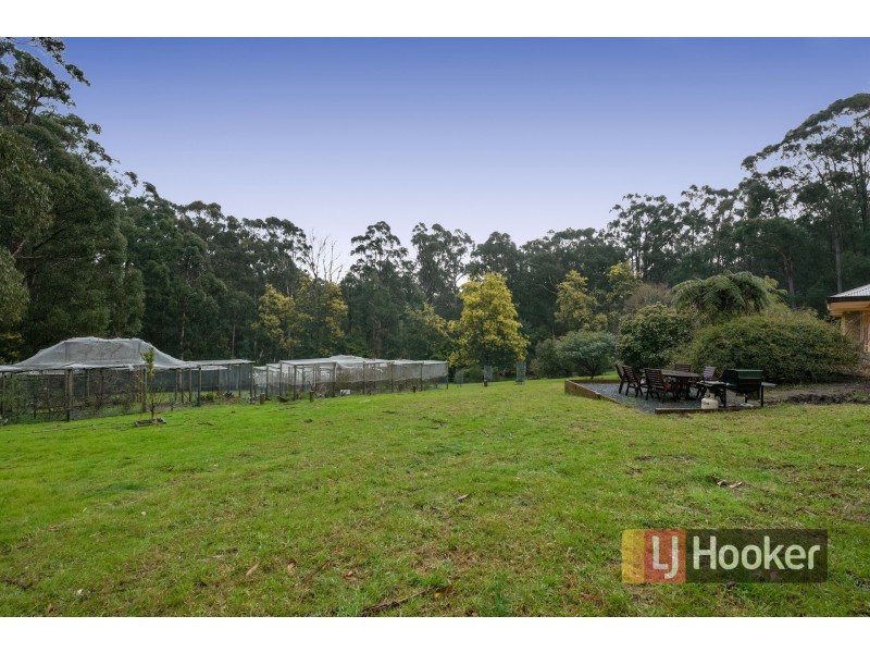 1080 Bessie Creek Road, Gembrook VIC 3783