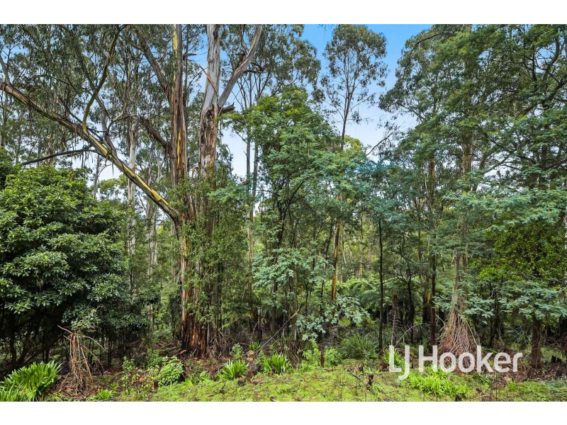 250 Harvie Road, Pakenham Upper VIC 3810