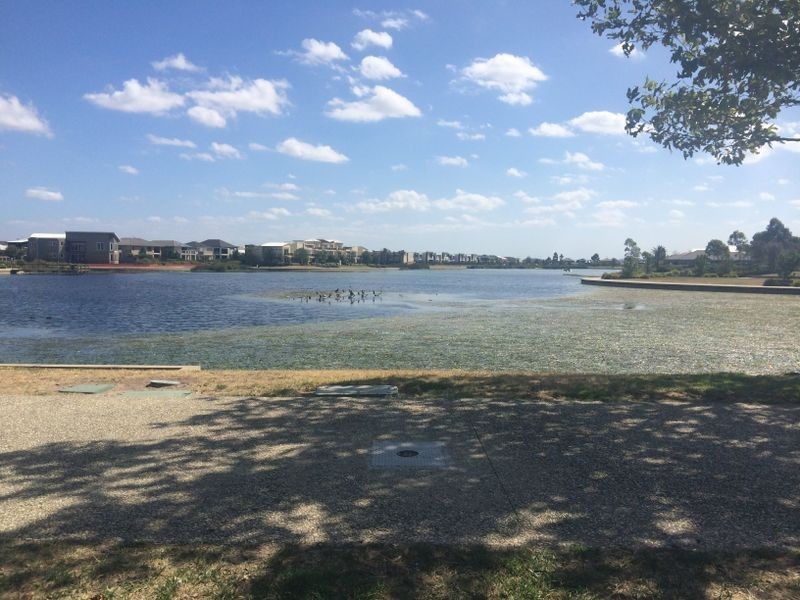 18 Mallee Circuit, Pakenham VIC 3810