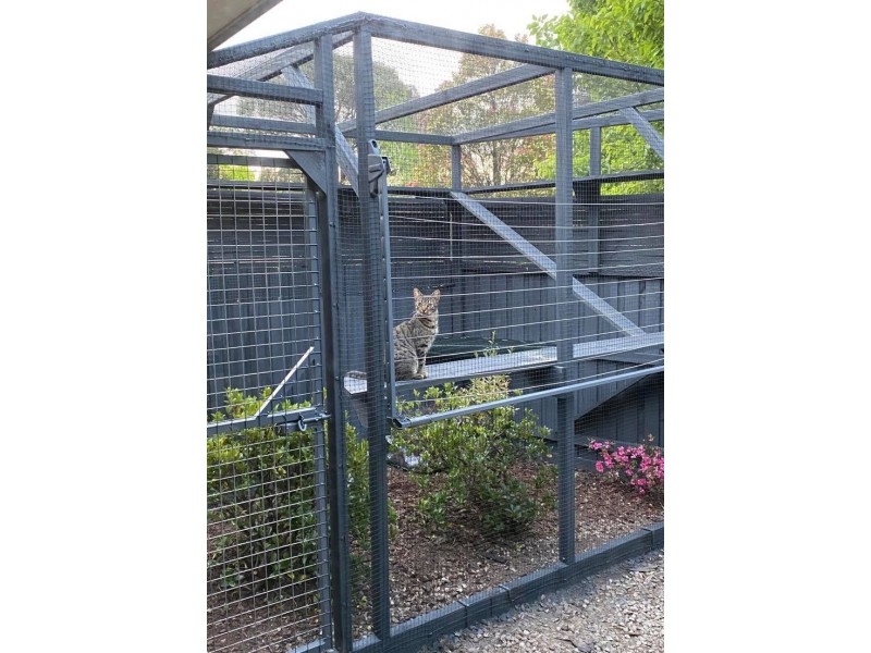 1/1 Montclaire Court, Pakenham VIC 3810