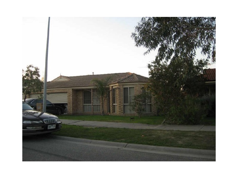 3 Noel Road, Langwarrin VIC 3910