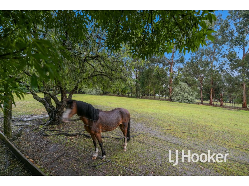 55 Wattletree Road, Bunyip VIC 3815
