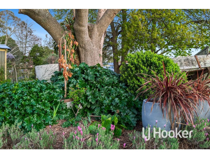 31 Wattletree Road, Bunyip VIC 3815