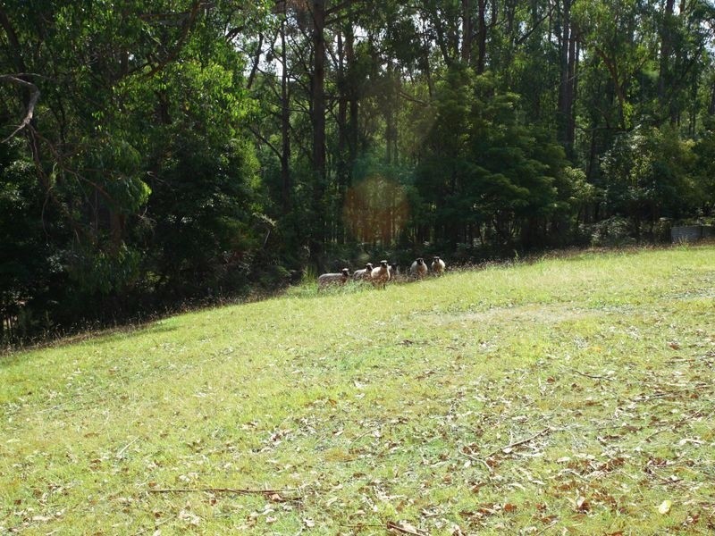 37 Clink Road, Pakenham Upper VIC 3810