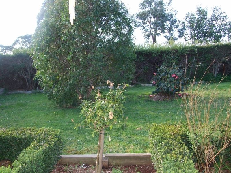 25 Eagle Drive, Pakenham VIC 3810