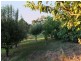 237 Bourkes Creek Road, Pakenham Upper VIC 3810