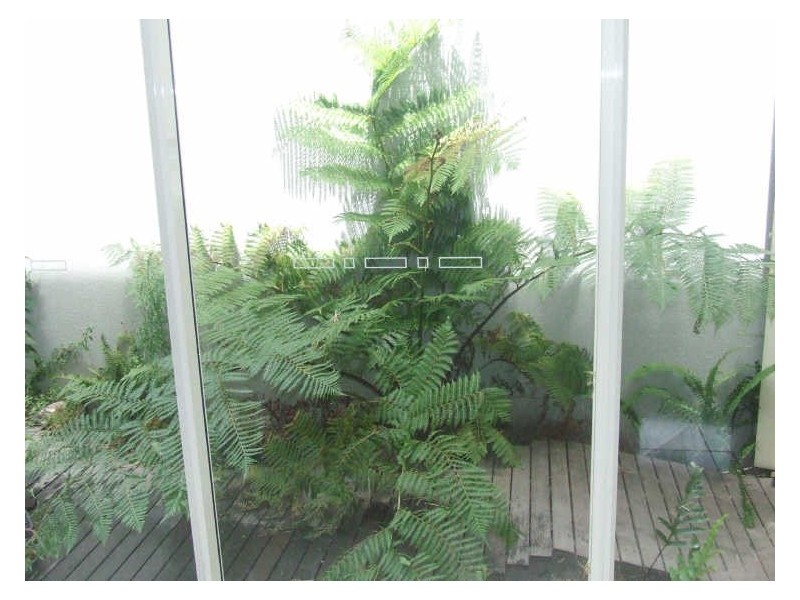 1/2 John Street, Pakenham VIC 3810