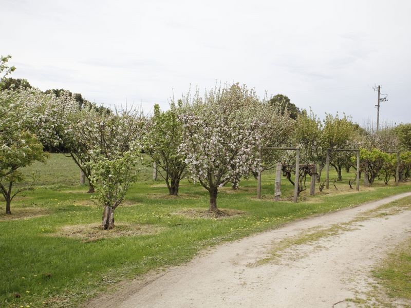 115 Bladens Road, Koo Wee Rup VIC 3981