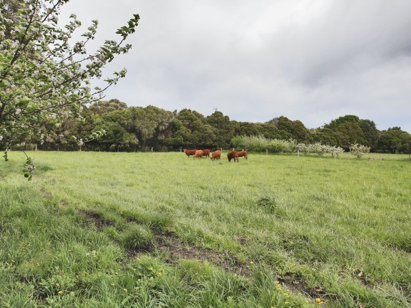 115 Bladens Road, Koo Wee Rup VIC 3981