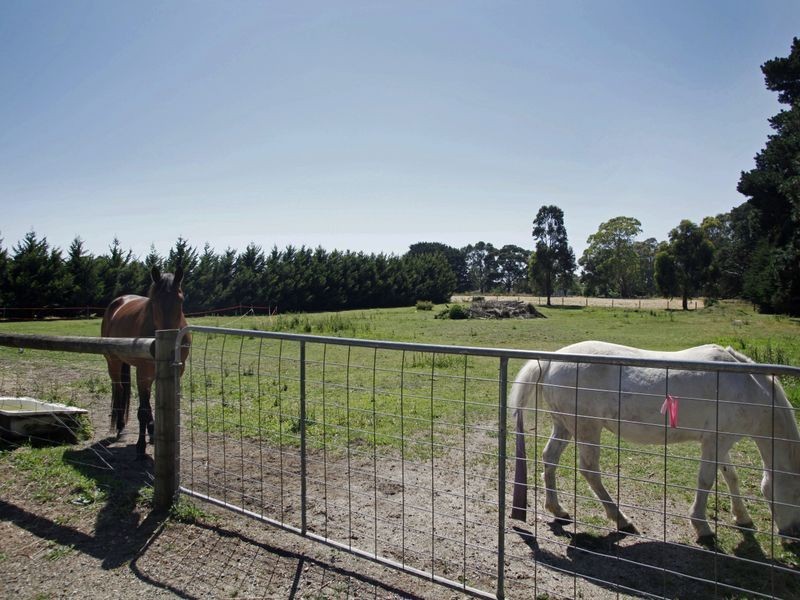 21 Pinehill Drive, Pakenham VIC 3810