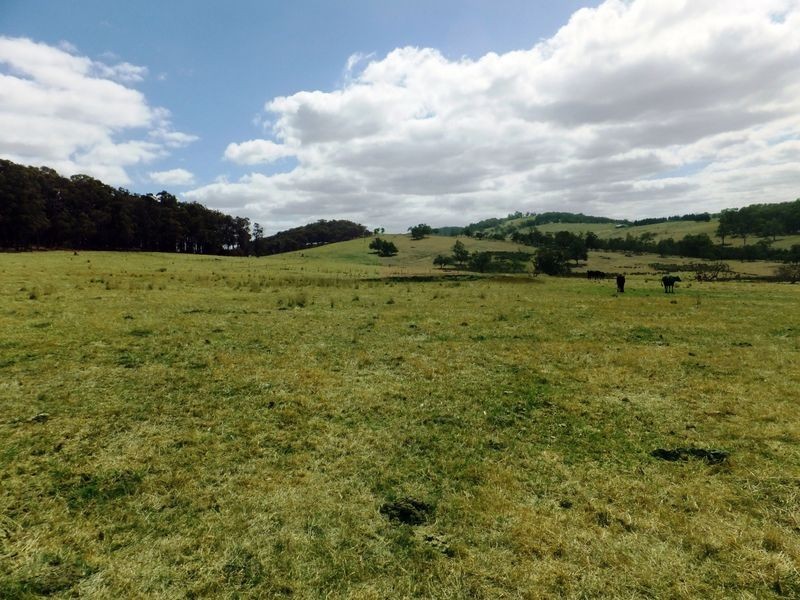 460 Fogarty Road, Tynong North VIC 3813