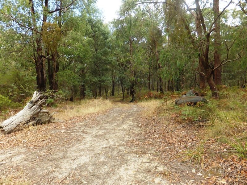 460 Fogarty Road, Tynong North VIC 3813