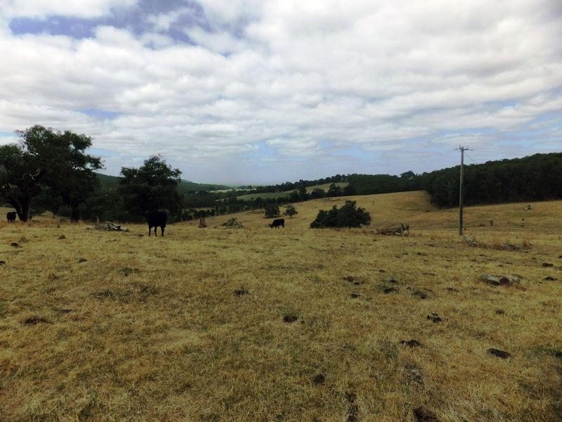 460 Fogarty Road, Tynong North VIC 3813